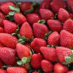 Strawberry Fest in Palm Bay Gallery Image