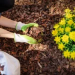 Mulch Man Florida Gallery Image