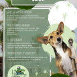 Gators Portside Coupons Gallery Image