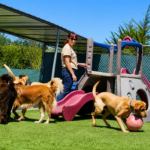 Paws & Claws Coupons Gallery Image
